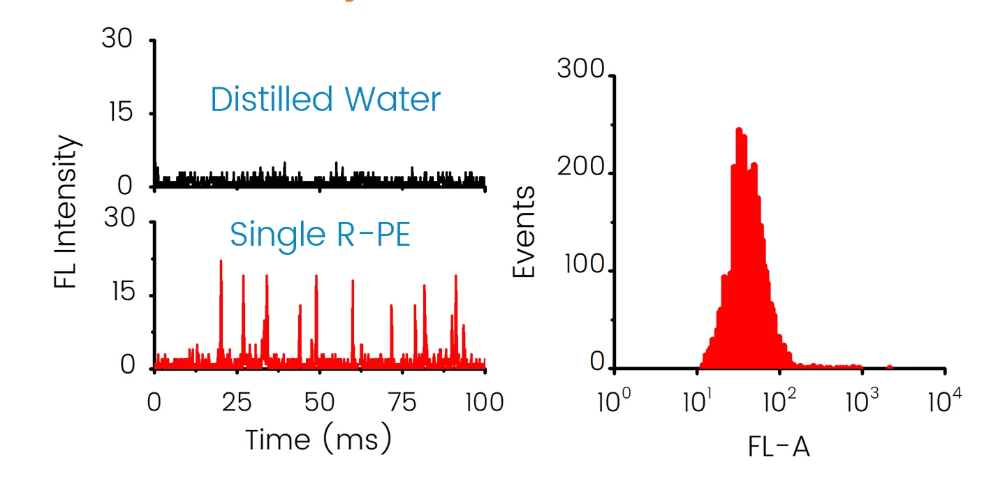 NanoAnalyzer Performance2